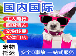 威海大水泊机场快运国际宠物托运 【国